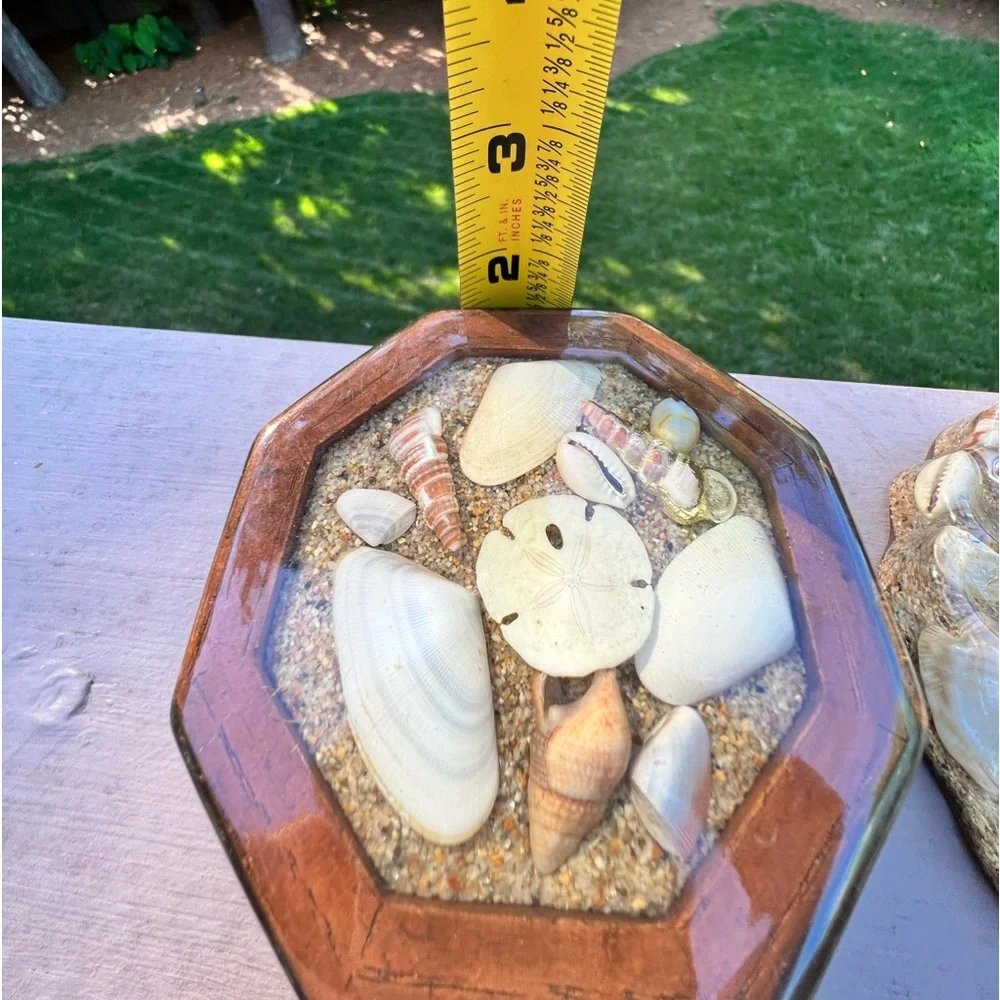 set of 2 Vintage Sea Shell Lucite Soap Dish and trinket box
